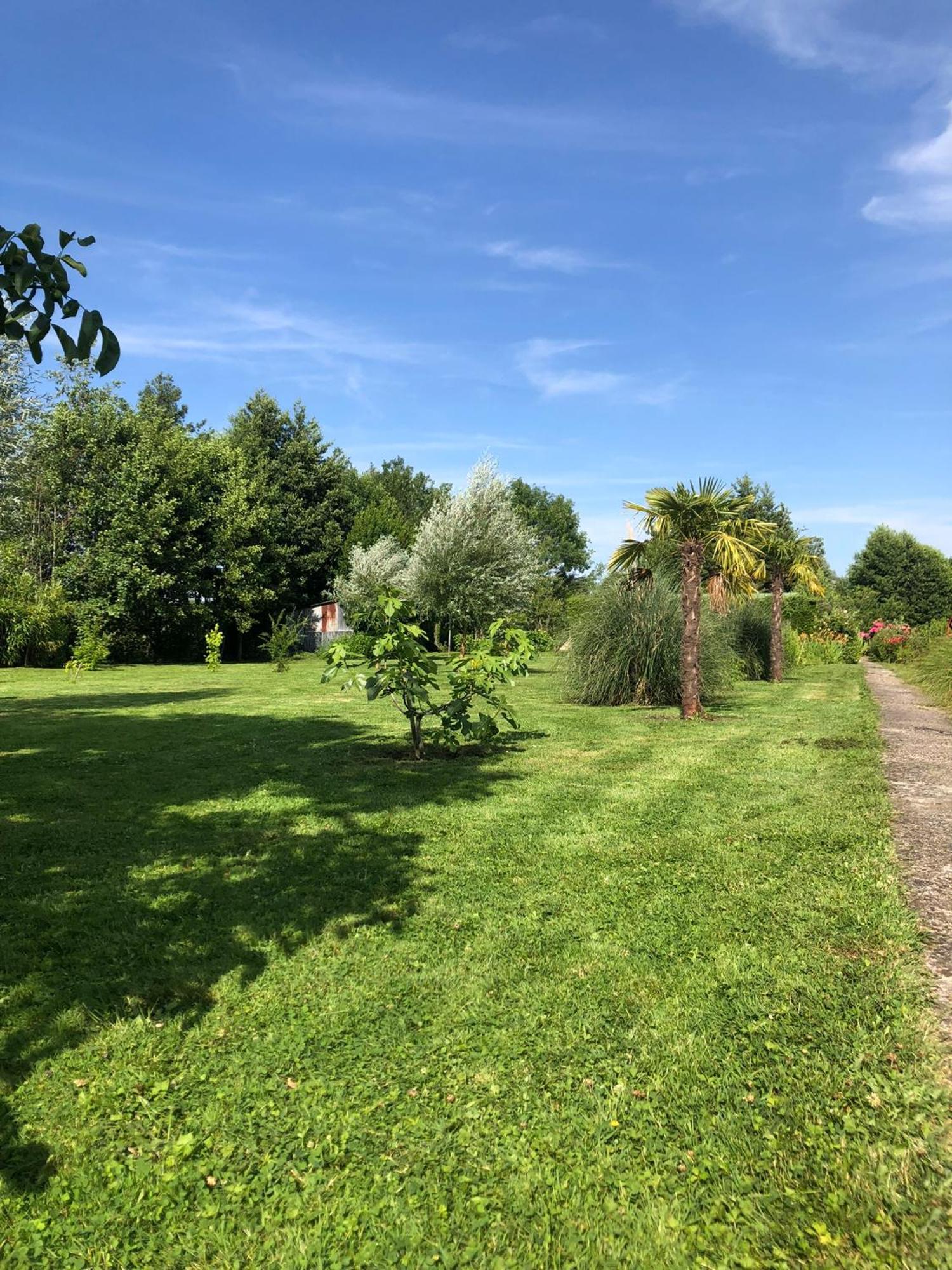 Le Chalet Des Hortillonnages Amiens Kültér fotó